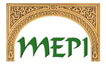 The Middle East Partnership Initiative